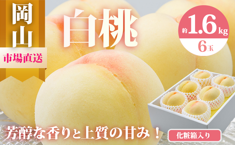 æ¡ 2026幎 å
è¡äºçŽ å²¡å±± çœæ¡ 6çïŒåèš1.6kg以äžïŒåç²§ç®±å
¥ã ãã ã¢ã¢ 岡山çç£ åœç£ ãã«ãŒã æç© ã®ãã