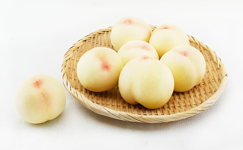 フルーツ 定期便 2026年 先行予約 フルーツ王国 岡山 ベストセレクト 2回コース 桃 もも 葡萄 ぶどう マスカット 岡山県産 国産 果物 セット ギフト 