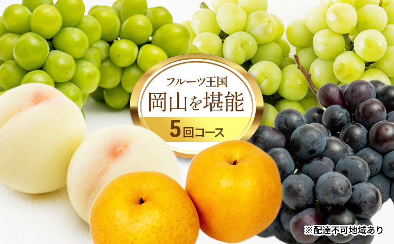 フルーツ 定期便 2026年 先行予約 フルーツ王国 岡山を堪能 5回コース 桃 もも 葡萄 ぶどう 梨 なし岡山県産 国産 果物 セット ギフト