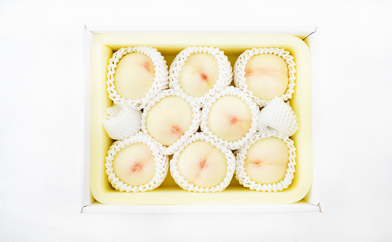 æ¡ å®æäŸ¿ 2026幎 å
è¡äºçŽ å²¡å±± ã® çœæ¡ 8ç åèš1.7kg以äžÃ2å ãå±ã åç²§ç®±å
¥ã ãã ã¢ã¢ å²¡å±±ç£ åœç£ ãã«ãŒã æç© ã®ãã