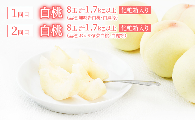 æ¡ å®æäŸ¿ 2026幎 å
è¡äºçŽ å²¡å±± ã® çœæ¡ 8ç åèš1.7kg以äžÃ2å ãå±ã åç²§ç®±å
¥ã ãã ã¢ã¢ å²¡å±±ç£ åœç£ ãã«ãŒã æç© ã®ãã