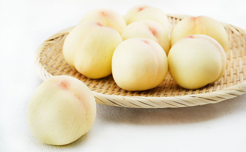 æ¡ å®æäŸ¿ 2026幎 å
è¡äºçŽ å²¡å±± ã® çœæ¡ 8ç åèš1.7kg以äžÃ2å ãå±ã åç²§ç®±å
¥ã ãã ã¢ã¢ å²¡å±±ç£ åœç£ ãã«ãŒã æç© ã®ãã