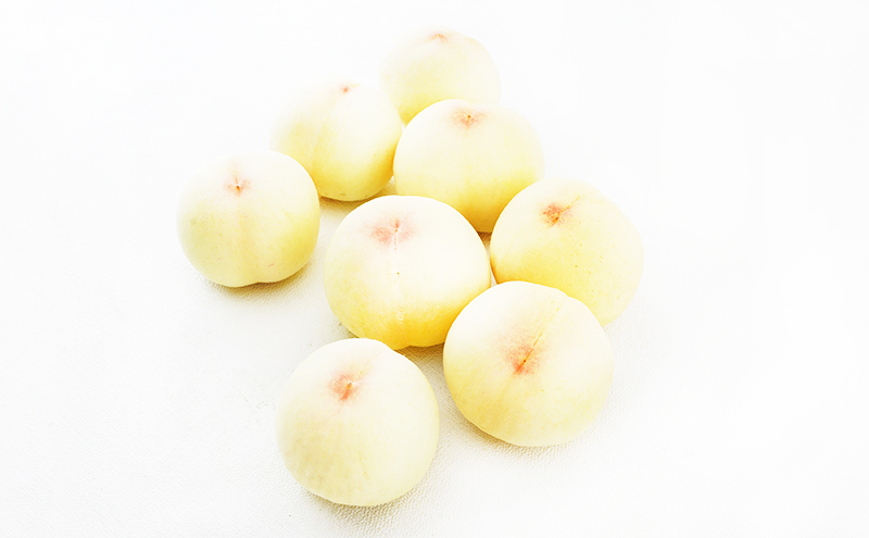 æ¡ å®æäŸ¿ 2026幎 å
è¡äºçŽ å²¡å±± ã® çœæ¡ 8ç åèš1.7kg以äžÃ2å ãå±ã åç²§ç®±å
¥ã ãã ã¢ã¢ å²¡å±±ç£ åœç£ ãã«ãŒã æç© ã®ãã