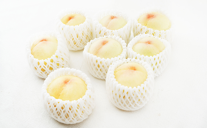 æ¡ å®æäŸ¿ 2026幎 å
è¡äºçŽ å²¡å±± ã® çœæ¡ 8ç åèš1.7kg以äžÃ2å ãå±ã åç²§ç®±å
¥ã ãã ã¢ã¢ å²¡å±±ç£ åœç£ ãã«ãŒã æç© ã®ãã