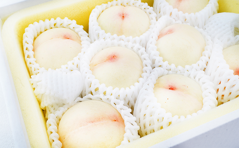 æ¡ å®æäŸ¿ 2026幎 å
è¡äºçŽ å²¡å±± ã® çœæ¡ 8ç åèš1.7kg以äžÃ2å ãå±ã åç²§ç®±å
¥ã ãã ã¢ã¢ å²¡å±±ç£ åœç£ ãã«ãŒã æç© ã®ãã