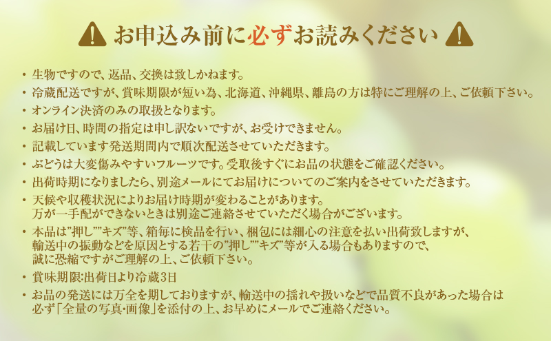2025年 先行予約 瀬戸ジャイアンツ 4～5房 合計約2kg 冷蔵配送 ぶどう 葡萄 フルーツ 果物 岡山 岡山のぶどう 食後 デザート 産地直送 皮ごと 酸味が少ない 爽やか 甘い 