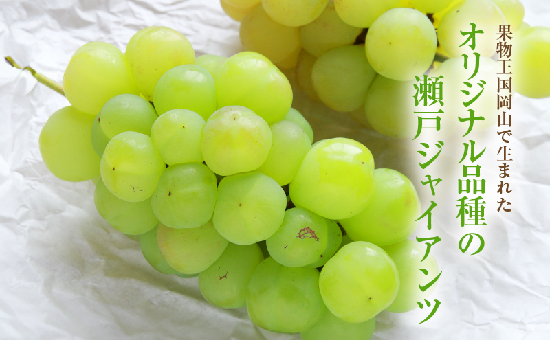 2025年 先行予約 瀬戸ジャイアンツ 4～5房 合計約2kg 冷蔵配送 ぶどう 葡萄 フルーツ 果物 岡山 岡山のぶどう 食後 デザート 産地直送 皮ごと 酸味が少ない 爽やか 甘い 