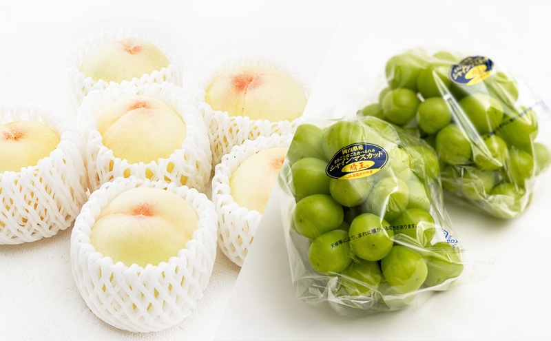 フルーツ 定期便 2026年 先行予約 フルーツ王国 岡山 ベストセレクト 2回コース 桃 もも 葡萄 ぶどう マスカット 岡山県産 国産 果物 セット ギフト 