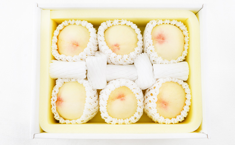 フルーツ 定期便 2026年 先行予約 フルーツ王国 岡山 ベストセレクト 2回コース 桃 もも 葡萄 ぶどう マスカット 岡山県産 国産 果物 セット ギフト 