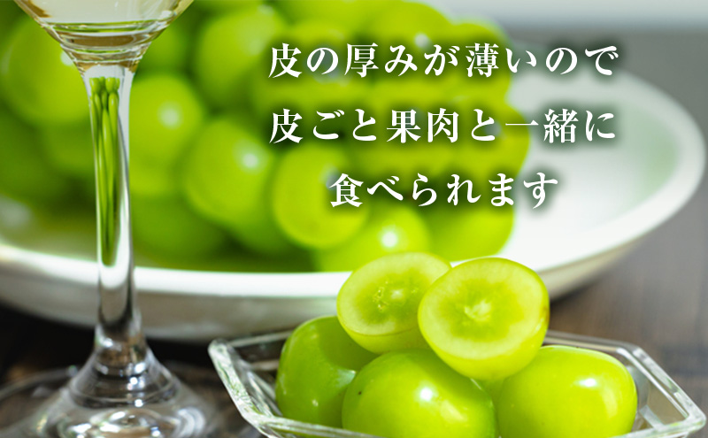 【2026年 先行予約】【訳あり品】シャインマスカット 2房 合計約1kg 冷蔵配送 ぶどう 葡萄 フルーツ 果物 岡山 岡山のぶどう 岡山の果物 食後 デザート 産地直送 大粒 皮ごと 種無し 