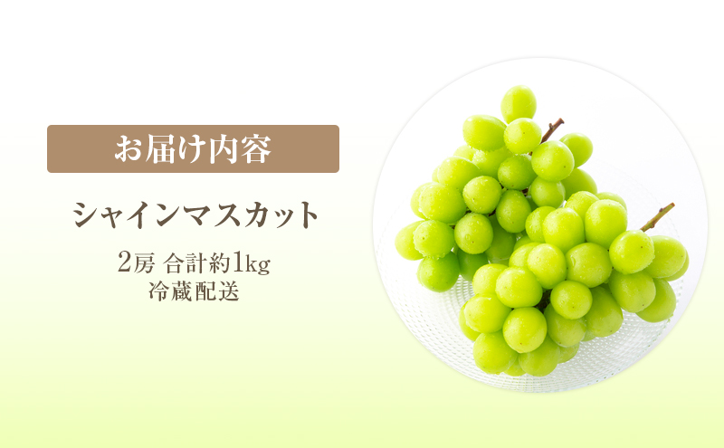 【2026年 先行予約】【訳あり品】シャインマスカット 2房 合計約1kg 冷蔵配送 ぶどう 葡萄 フルーツ 果物 岡山 岡山のぶどう 岡山の果物 食後 デザート 産地直送 大粒 皮ごと 種無し 