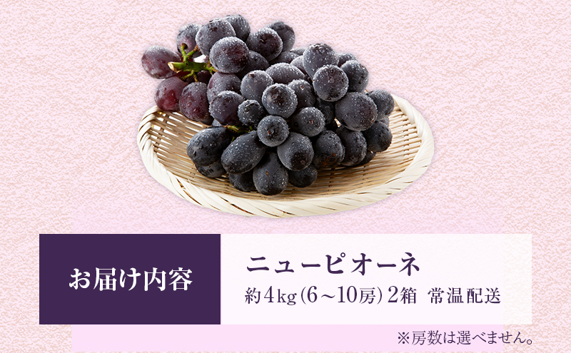 ニュー ピオーネ 約4kg ぶどう 葡萄 フルーツ 岡山 高梁市産 2026年 先行予約 果物類 果物 