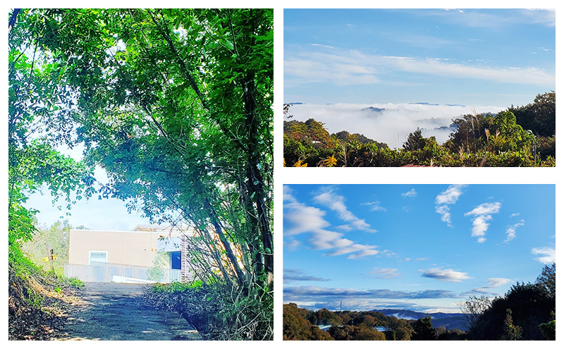 辟シ闖灘ュ 6遞ョ 隧ー繧∝粋繧上○ 繧サ繝繝 繧ッ繝繧ュ繝シ 闖灘ュ 縺願藷蟄 縺翫d縺、 繧ケ繧、繝シ繝 繝繧カ繝シ繝