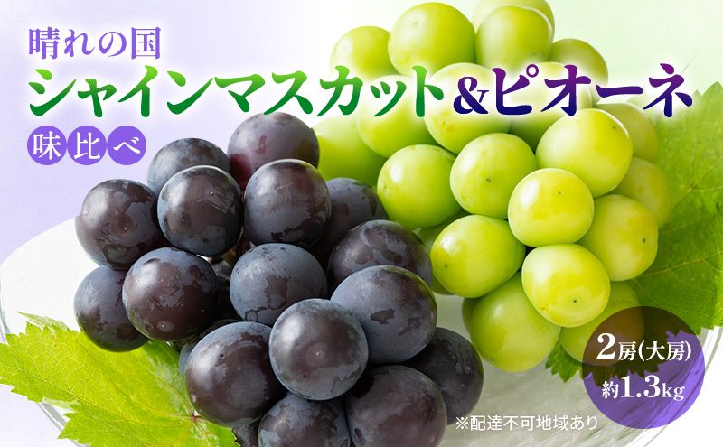 2026年 早期受付 ぶどう 晴れの国 シャインマスカット&ピオーネ 味比べ 2房（大房） 化粧箱入り 岡山県 高梁市 ブドウ 葡萄 果物 フルーツ