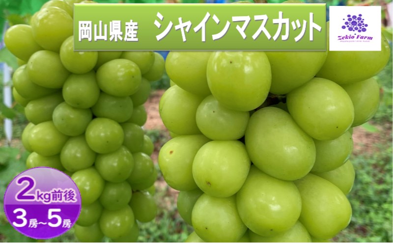 シャインマスカット 2kg 3房～5房 葡萄 フルーツ 岡山 高梁市産 ぜきお農園 ぶどうclub 2026年 先行予約