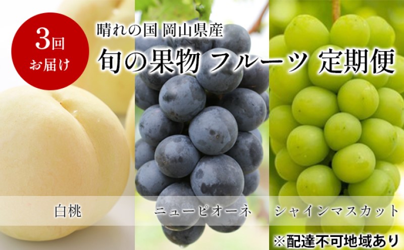 フルーツ 定期便 【2026年 先行予約】 晴れの国 旬の 果物 3回お届け便 岡山 白桃 2kg(5玉～7玉) ニュー ピオーネ 4房2kg以上  シャインマスカット 4房(2.4kg以上) 岡山県産 国産 セット ギフト