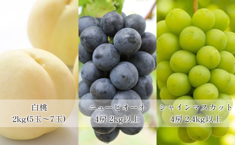 ãã«ãŒã å®æäŸ¿ ã2026幎 å
è¡äºçŽã æŽãã®åœ æ¬ã® æç© 3åãå±ã䟿 岡山 çœæ¡ 2kg(5çïœ7ç) ãã¥ãŒ ããªãŒã 4æ¿2kgä»¥äž ã·ã£ã€ã³ãã¹ã«ãã 4æ¿(2.4kg以äž) 岡山çç£ åœç£ ã»ãã ã®ãã