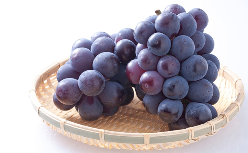 ãã«ãŒã å®æäŸ¿ ã2026幎 å
è¡äºçŽã æŽãã®åœ æ¬ã® æç© 3åãå±ã䟿 岡山 çœæ¡ 2kg(5çïœ7ç) ãã¥ãŒ ããªãŒã 4æ¿2kgä»¥äž ã·ã£ã€ã³ãã¹ã«ãã 4æ¿(2.4kg以äž) 岡山çç£ åœç£ ã»ãã ã®ãã