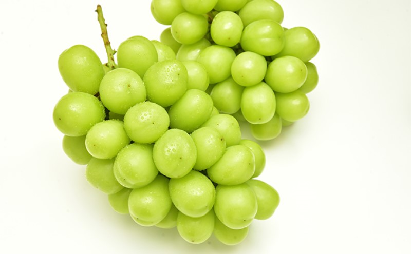 フルーツ 定期便 【2026年 先行予約】 桃 ぶどう 梨 3回お届け 白桃 約2kg入り(5玉～7玉) シャインマスカット 4房2.8kg以上 あたご梨 (3～6玉)  岡山県産 国産 セット ギフト