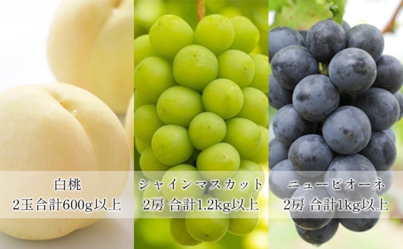桃 ぶどう 【2026年 先行予約】 よくばり 果物 セット 岡山 白桃 2玉 合計600g以上 シャインマスカット 2房 合計1.2kg以上 ニュー ピオーネ 2房 合計1kg以上 岡山県産 国産 フルーツ 果物 ギフト