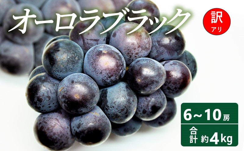 【2026年 先行予約】【訳あり品】オーロラブラック 6～10房 合計約4kg 常温配送 ぶどう 葡萄 フルーツ 果物 岡山 高梁市
