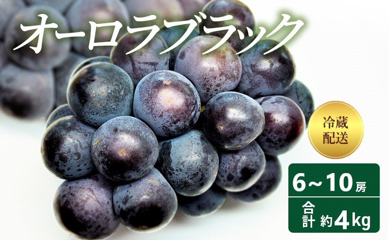 【2025年 先行予約】 オーロラブラック 6～10房 合計約4kg 冷蔵配送 ぶどう 葡萄 フルーツ 果物 岡山 高梁市