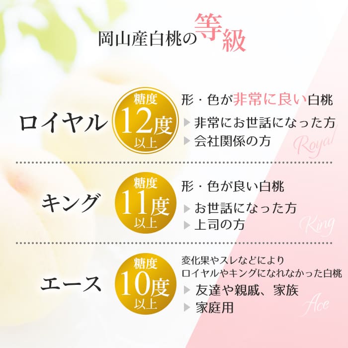 桃 2026年 先行予約 岡山 白桃 ロイヤル 約2kg 5～7玉入り もも モモ 岡山県産 国産 フルーツ 果物 ギフト 橋田商店