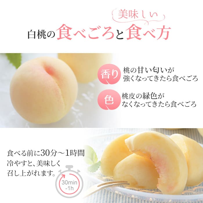 桃 2026年 先行予約 岡山 白桃 ロイヤル 約2kg 5～7玉入り もも モモ 岡山県産 国産 フルーツ 果物 ギフト 橋田商店
