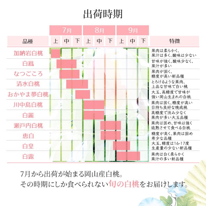 桃 2026年 先行予約 岡山 白桃 ロイヤル 約2kg 5～7玉入り もも モモ 岡山県産 国産 フルーツ 果物 ギフト 橋田商店