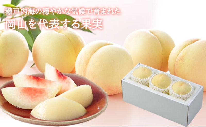 æ¡ 2026幎 å
è¡äºçŽ å²¡å±± çœæ¡ ãã€ã€ã« 3çÃ200gïŒLãµã€ãºïŒ 岡山çç£ JAããããŸã®ãã ã¢ã¢ 岡山çç£ åœç£ ãã«ãŒã æç© ã®ãã