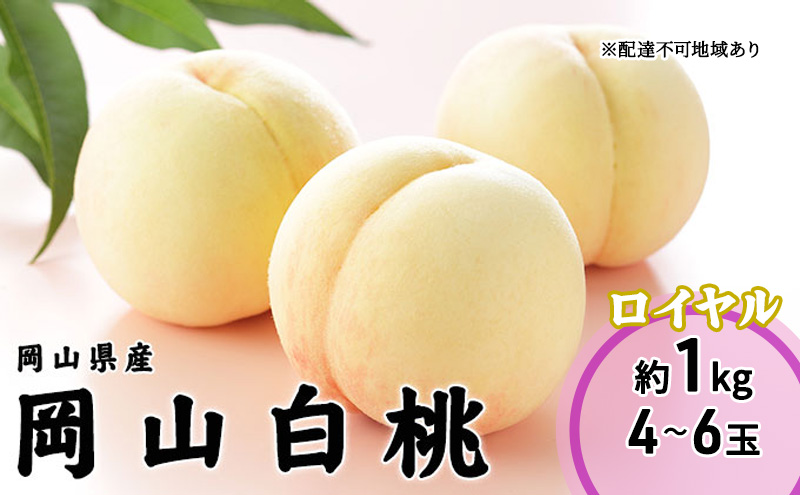 桃 2026年 先行予約 岡山 白桃 ロイヤル 4～6玉 1kg 岡山県産 JAおかやまのもも  モモ 岡山県産 国産 フルーツ 果物 ギフト
