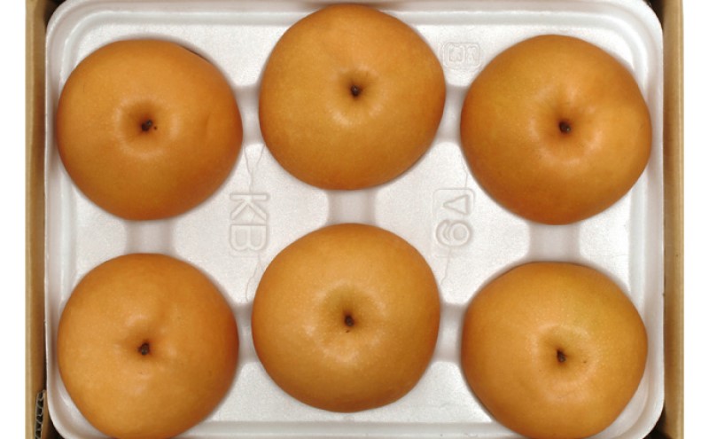 梨 2026年先行予約 岡山県産 新高梨 約3kg 4～6玉 お届け 10月中旬～11月中旬