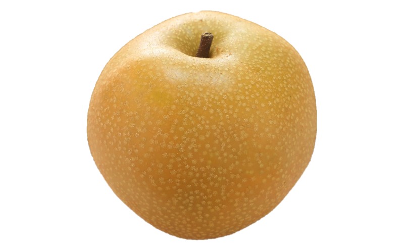 譴ィ 2026蟷エ蜈郁。御コ育エ 蟯。螻ア逵檎肇 縺ゅ◆縺疲「ィ 邏900g 1邇 縺雁ア翫¢11譛井ク区流ス12譛井クュ譌ャ