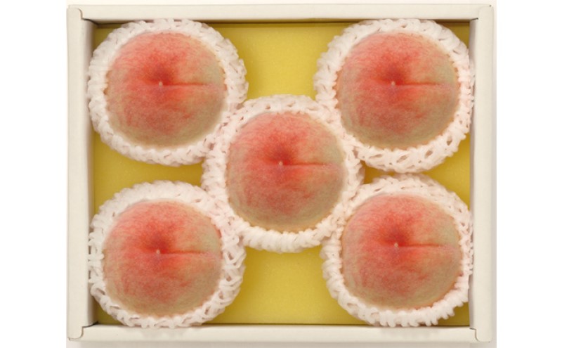 桃 2026年先行予約 岡山県産 白桃 約1.2kg 4～6玉 お届け 7月上旬～7月下旬