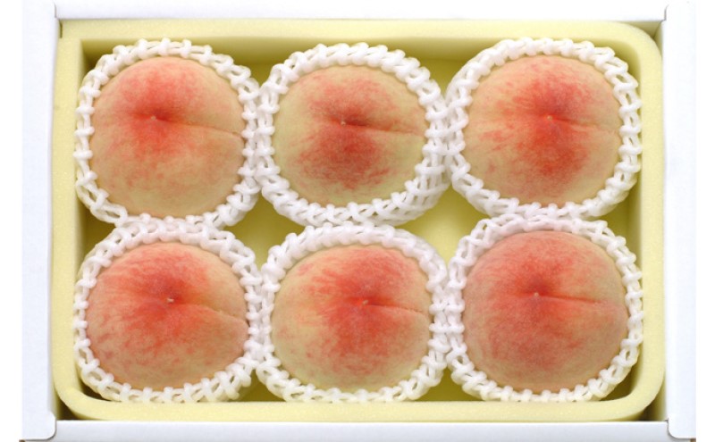 æ¡ 2026幎å
è¡äºçŽ å²¡å±±çç£ çœæ¡ çŽ1.3kg 5ïœ7ç ãå±ã 7æäžæ¬ïœ7æäžæ¬