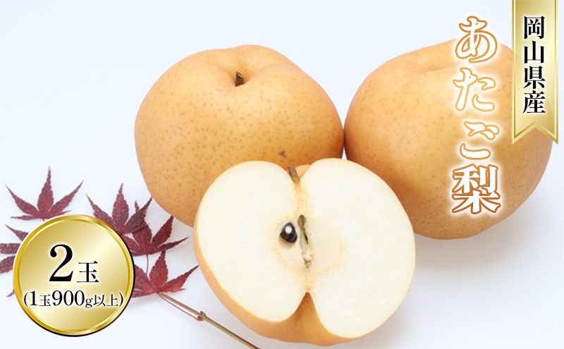 梨 2026年 先行予約 あたご梨 2玉入り（1玉 900g以上） なし ナシ  岡山県産 国産 フルーツ 果物 ギフト 和梨 デザート 食後 日本一の大きさ 大玉 シャリシャリ