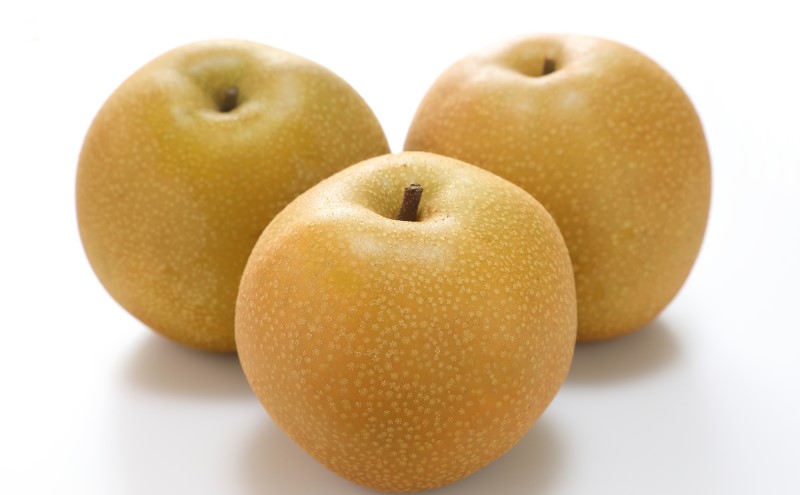 梨 2026年 先行予約 あたご梨 約3kg 3～5玉入り  なし ナシ  岡山県産 国産 フルーツ 果物 ギフト 和梨 デザート 食後 日本一の大きさ 大玉 シャリシャリ
