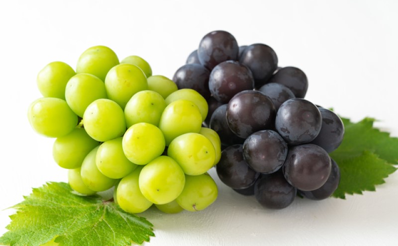 ã¶ã©ã 2026幎 å
è¡äºçŽ æç© è©°åã 岡山 çœæ¡ 2ç ççŽïŒãã€ã€ã«ïŒ1ç220g以äžïŒ ã·ã£ã€ã³ãã¹ã«ãã æŽç 1æ¿ 380gä»¥äž ãã¥ãŒããªãŒã 1æ¿ 380gä»¥äž ãã è¡è 岡山çç£ åœç£ ãã«ãŒã æç© ã®ãã