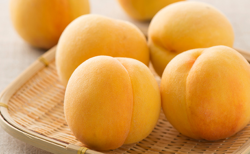 æ¡ 2026幎 å
è¡äºçŽ å²¡å±± é»éæ¡ 6ç çŽ1.4kg ççŽïŒãã€ã€ã«ïŒ1ç 240g以äžïŒ ãã ã¢ã¢ 岡山çç£ åœç£ ãã«ãŒã æç© ã®ãã