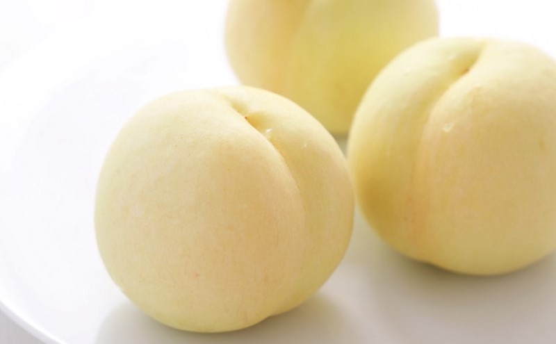 æ¡ 2026幎 å
è¡äºçŽ å²¡å±± çœæ¡ 7ç çŽ1.8kg ççŽïŒãã€ã€ã«ïŒ1ç 260g以äžïŒ ãã ã¢ã¢ 岡山çç£ åœç£ ãã«ãŒã æç© ã®ãã