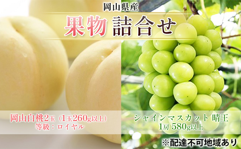 ぶどう 2026年 先行予約 果物 詰合せ 岡山 白桃 2玉 等級：ロイヤル（1玉260g以上） シャイン マスカット 晴王 1房 580g以上 もも 葡萄 岡山県産 国産 フルーツ 果物 ギフト