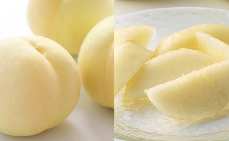 フルーツ 2026年 先行予約 果物 詰合せ 岡山 白桃 4玉 等級：ロイヤル（1玉220g以上） シャイン マスカット 晴王 1房 580g以上 ニューピオーネ 1房 580g以上  岡山県産 ギフト