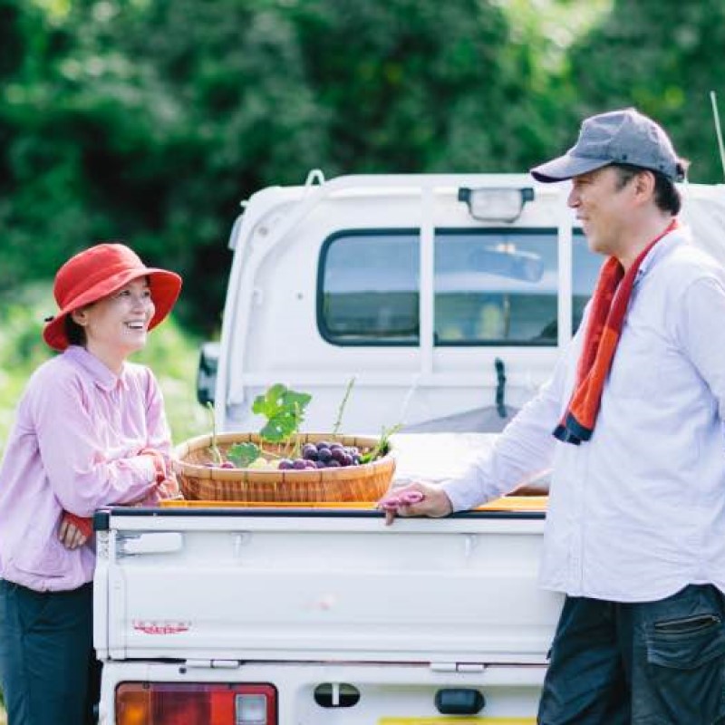 2026幎 æ©æåä» ã¶ã©ã ã®ããã埳çšãã¥ãŒããªãŒã 2kg以äž(3ïœ5æ¿) æ°ééå®ã岡山ç 髿¢åžç£