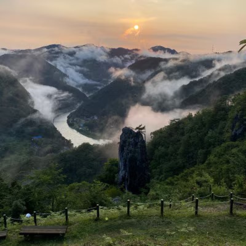 2026年 早期受付 ぶどう シャインマスカット 約２kg（3～4房）大粒  岡山県高梁市産 個装箱入り 葡萄 ブドウ 贈り物