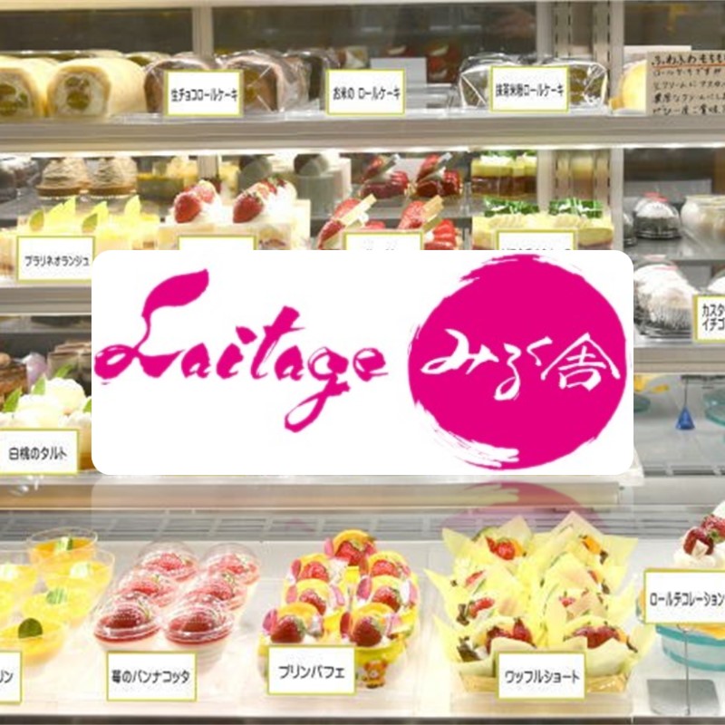 チーズケーキ 10個入り 【冷凍】化粧箱入り ご褒美 スイーツ おやつ ギフト 贈り物  濃厚 チーズ たっぷり ケーキ 洋菓子 デザート 大人 子供 手作り  