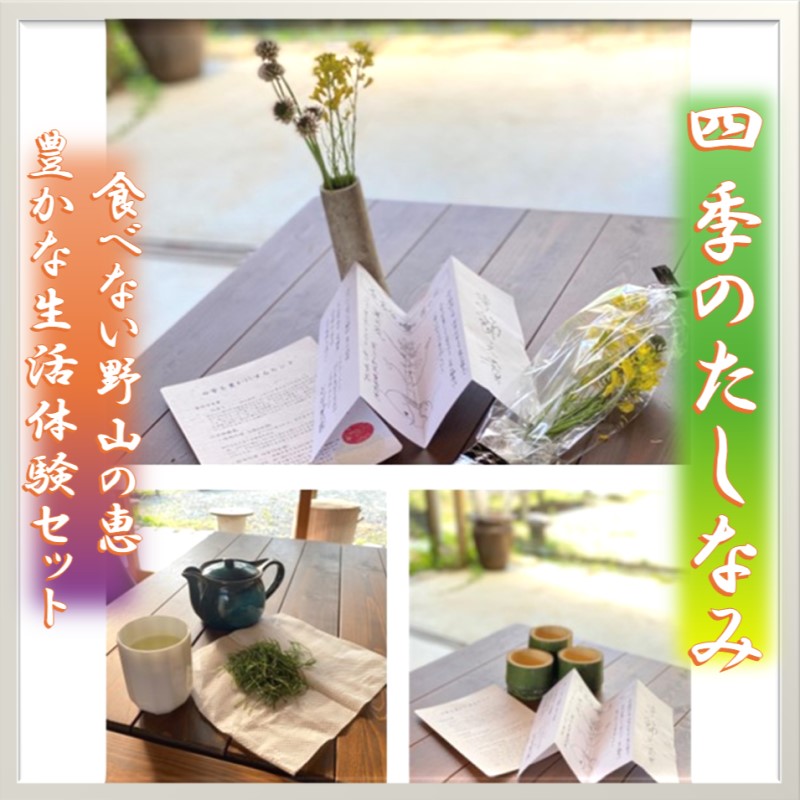 食べない野山の恵 豊かな生活体験セット”四季のたしなみ” 体験 セット 季節 お楽しみ 雑貨