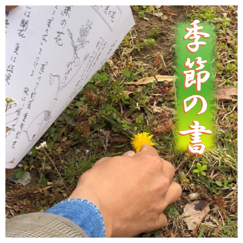 é£ã¹ãªãéå±±ã®æµ è±ããªç掻äœéšã»ããâåå£ã®ãããªã¿â äœéš ã»ãã å£ç¯ ãæ¥œãã¿ é貚