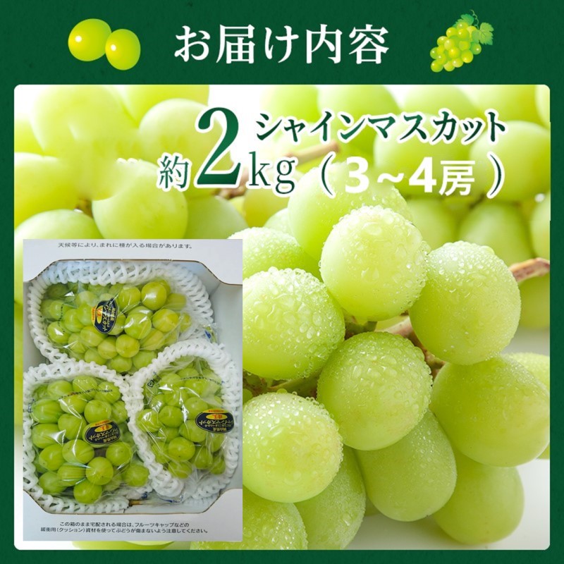 2026幎 æ©æåä» ã¶ã©ã ã·ã£ã€ã³ãã¹ã«ãã çŽ2kgïŒ3ïœ4æ¿ïŒå²¡å±±ç髿¢åžç£ æ²å³¶ãã¡ãŒã åç²§ç®±å
¥ã è¡è ãã㊠èŽççš