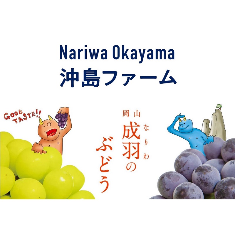 2026幎 æ©æåä» ã¶ã©ã ã·ã£ã€ã³ãã¹ã«ãã çŽ2kgïŒ3ïœ4æ¿ïŒå²¡å±±ç髿¢åžç£ æ²å³¶ãã¡ãŒã åç²§ç®±å
¥ã è¡è ãã㊠èŽççš