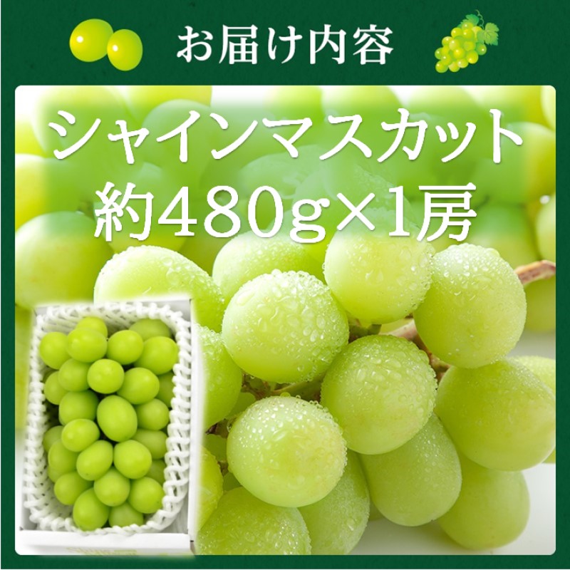 2026幎 æ©æåä»ãé«å³¶å±éžå®åãã·ã£ã€ã³ãã¹ã«ãã çŽ480gÃ1æ¿ å²¡å±±ç髿¢åžç£ åè£
ç®±å
¥ã è¡è ãã㊠èŽãç©